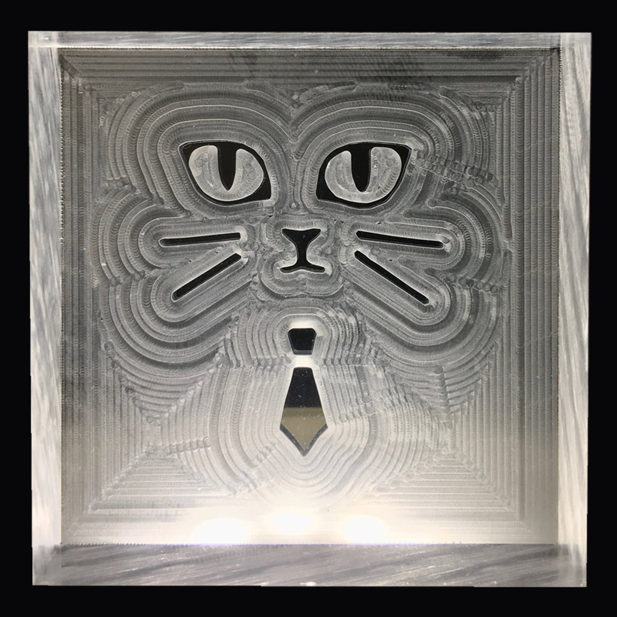 seifenstempel_ katzen_gesicht