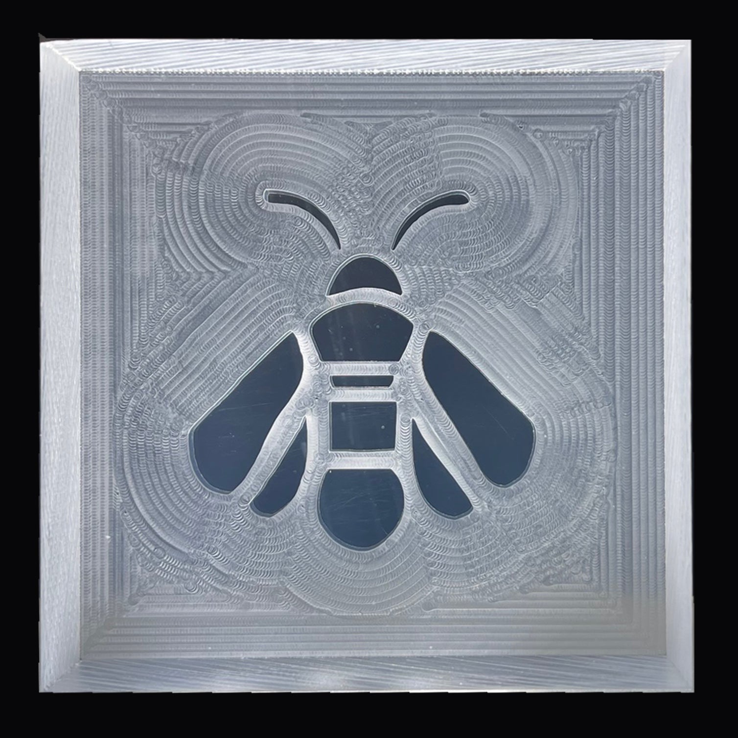seifenstempel_fliege